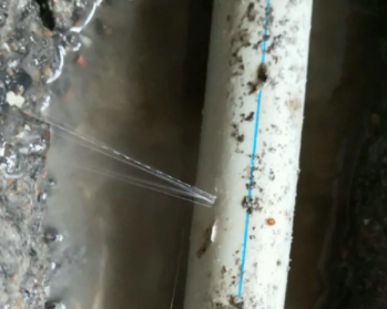河南卫生间测漏水多少钱